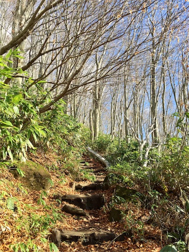 f:id:ToukoFujinomiya:20181104145629j:image f:id:ToukoFujinomiya:20181104145629j:image