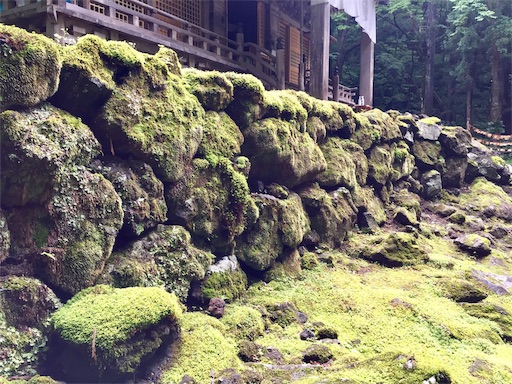 f:id:ToukoFujinomiya:20200719142934j:image f:id:ToukoFujinomiya:20200719142934j:image