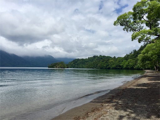 f:id:ToukoFujinomiya:20200719143235j:image f:id:ToukoFujinomiya:20200719143235j:image