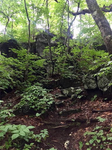 f:id:ToukoFujinomiya:20200720082522j:image f:id:ToukoFujinomiya:20200720082522j:image