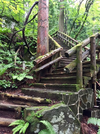 f:id:ToukoFujinomiya:20200720082533j:image f:id:ToukoFujinomiya:20200720082533j:image