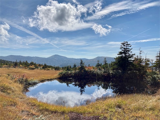 f:id:ToukoFujinomiya:20210929185442j:image f:id:ToukoFujinomiya:20210929185442j:image