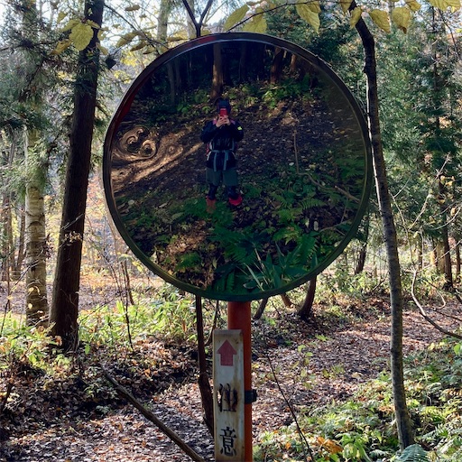 f:id:ToukoFujinomiya:20211107183618j:image f:id:ToukoFujinomiya:20211107183618j:image