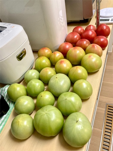 f:id:ToukoFujinomiya:20211119074231j:image f:id:ToukoFujinomiya:20211119074231j:image