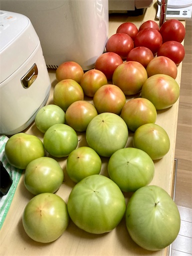 f:id:ToukoFujinomiya:20211119074244j:image f:id:ToukoFujinomiya:20211119074244j:image