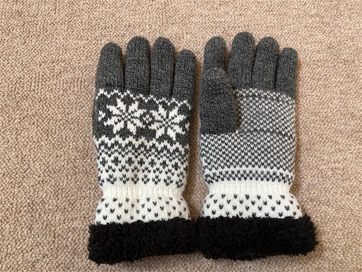 f:id:ToukoFujinomiya:20220110141853j:image f:id:ToukoFujinomiya:20220110141853j:image