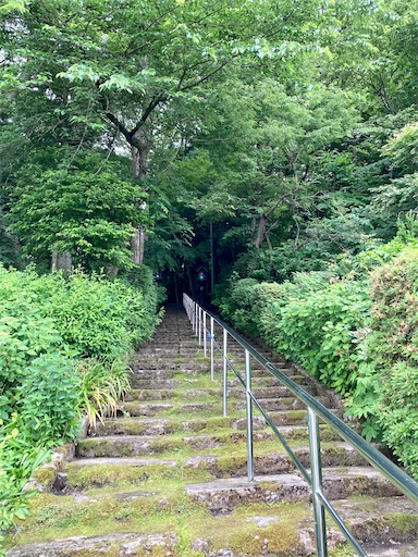 f:id:ToukoFujinomiya:20220612164026j:image f:id:ToukoFujinomiya:20220612164026j:image