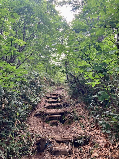 f:id:ToukoFujinomiya:20220712152810j:image f:id:ToukoFujinomiya:20220712152810j:image