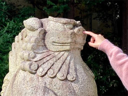 f:id:ToukoFujinomiya:20221025195931j:image f:id:ToukoFujinomiya:20221025195931j:image