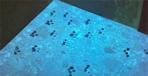 f:id:ToukoFujinomiya:20230217203559j:image f:id:ToukoFujinomiya:20230217203559j:image