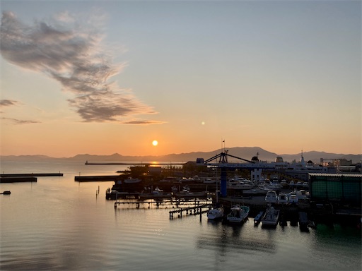 f:id:ToukoFujinomiya:20230512075023j:image f:id:ToukoFujinomiya:20230512075023j:image