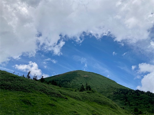 f:id:ToukoFujinomiya:20230807175139j:image f:id:ToukoFujinomiya:20230807175139j:image