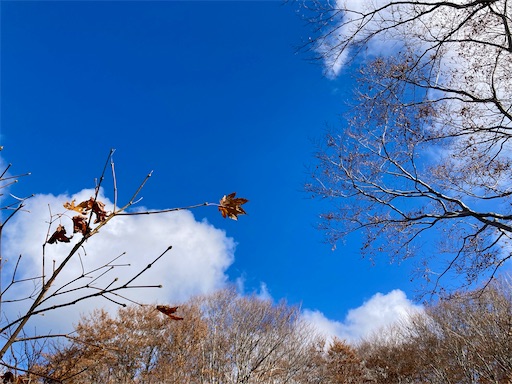 f:id:ToukoFujinomiya:20231031201826j:image f:id:ToukoFujinomiya:20231031201826j:image