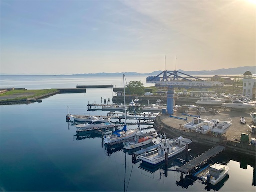 f:id:ToukoFujinomiya:20240519144403j:image f:id:ToukoFujinomiya:20240519144403j:image