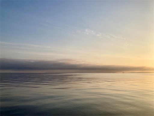 f:id:ToukoFujinomiya:20240608141330j:image f:id:ToukoFujinomiya:20240608141330j:image