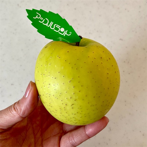 f:id:ToukoFujinomiya:20240615133228j:image f:id:ToukoFujinomiya:20240615133228j:image