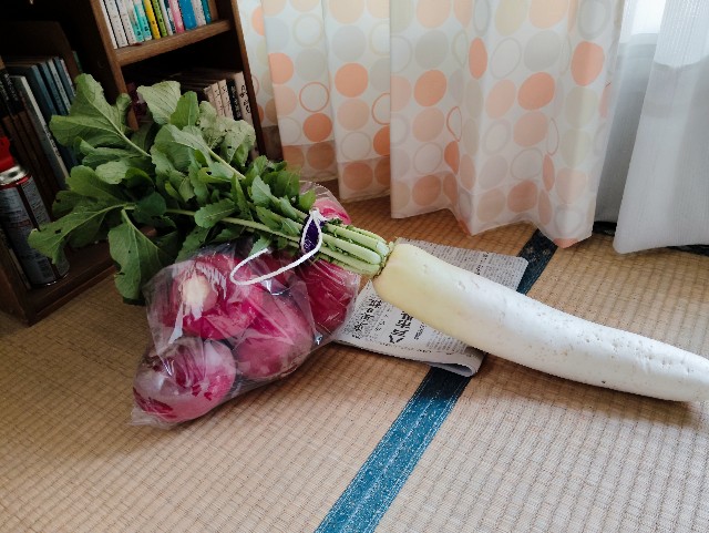 f:id:ToukoFujinomiya:20251029121341j:image f:id:ToukoFujinomiya:20251029121341j:image