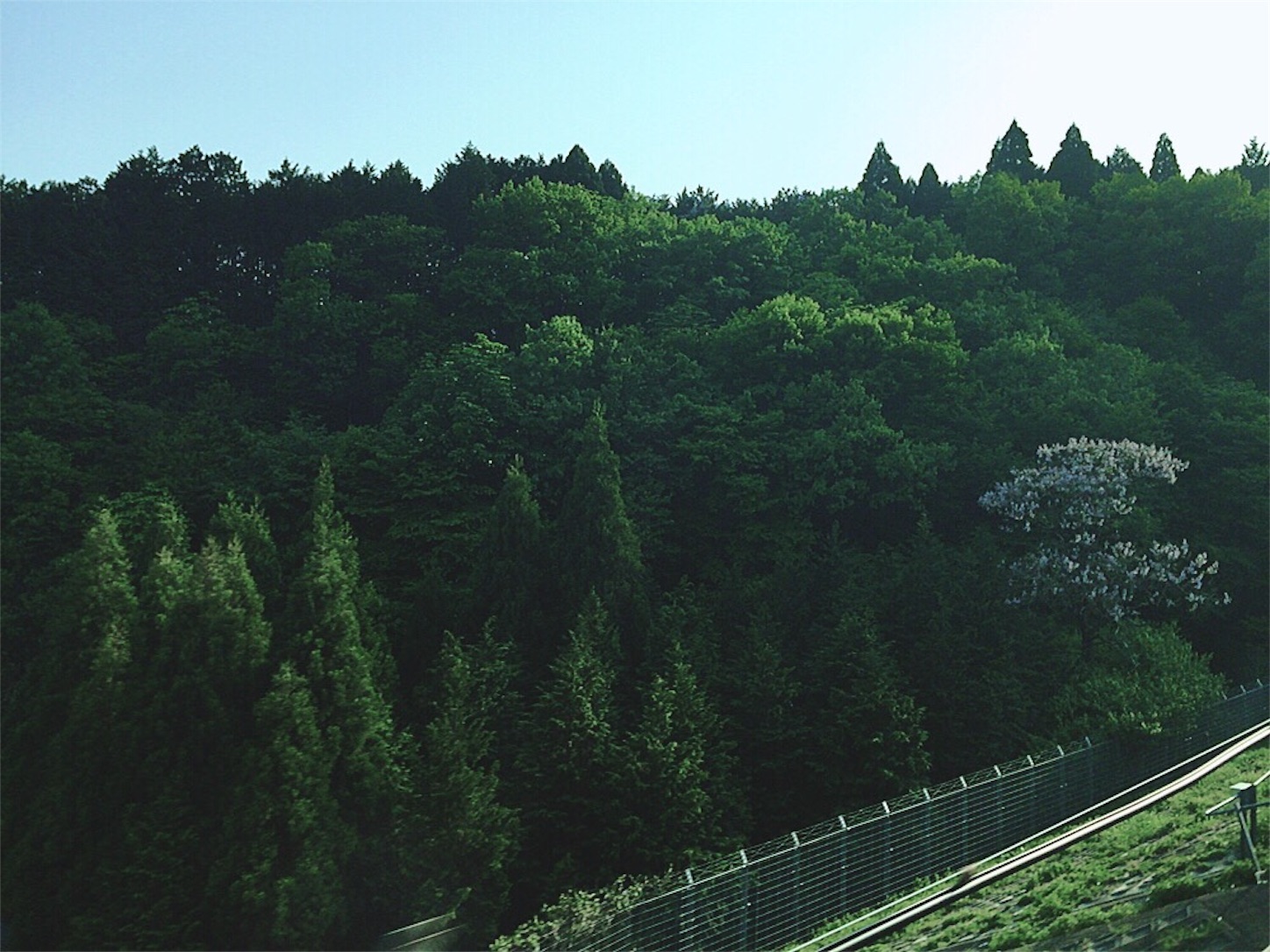 f:id:Towa1118:20160502224518j:image f:id:Towa1118:20160502224518j:image
