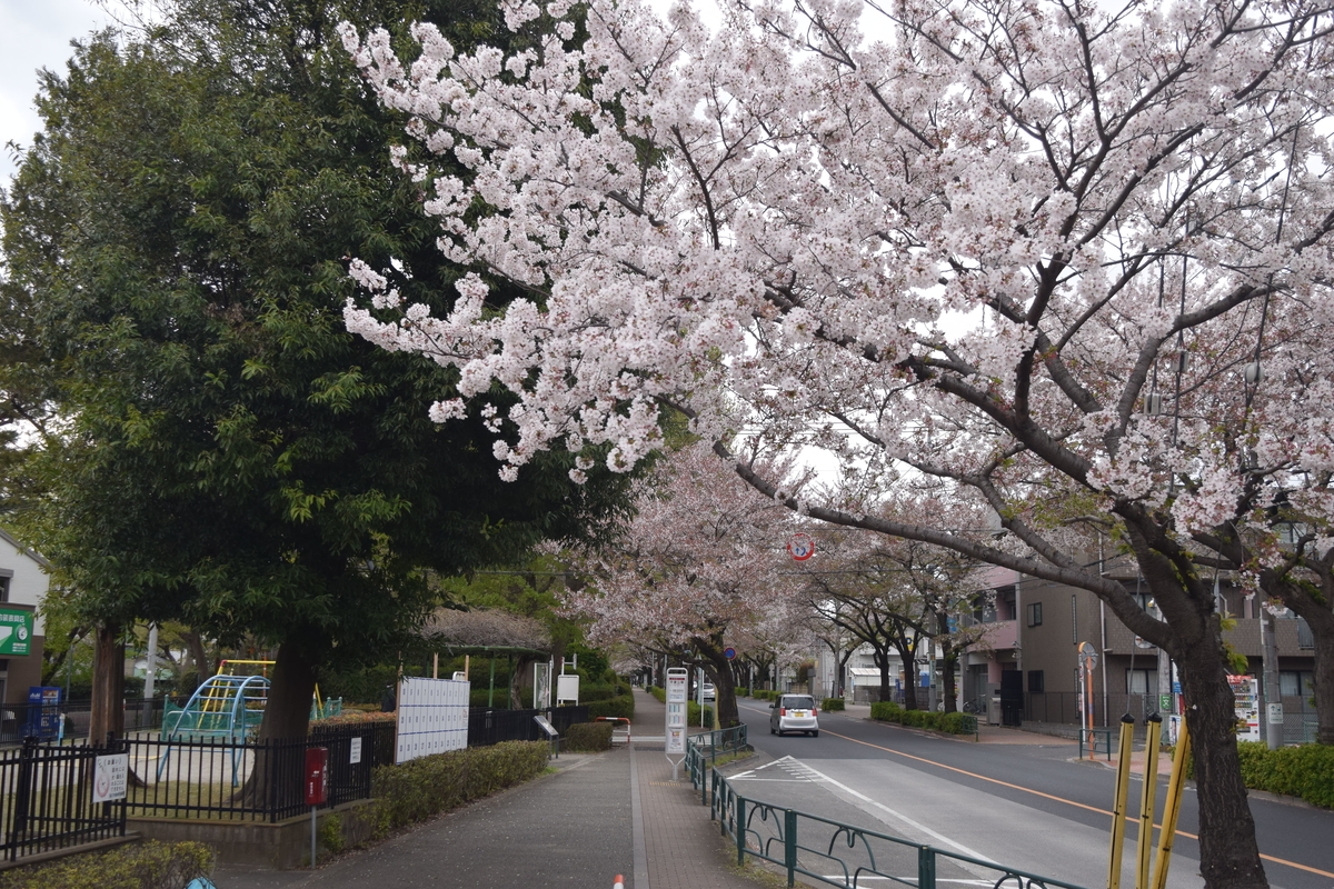 f:id:TownwalkDuck:20190608133616j:plain f:id:TownwalkDuck:20190608133616j:plain