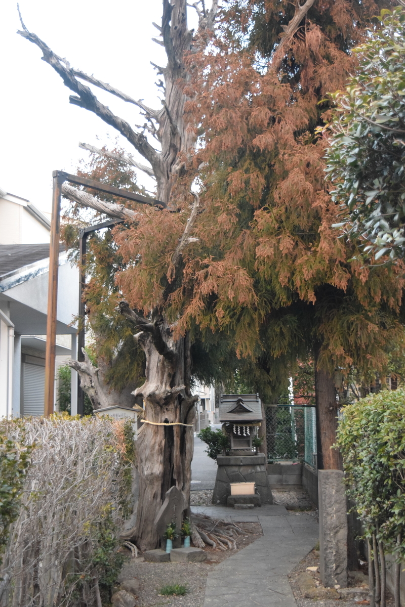 f:id:TownwalkDuck:20190704140448j:plain f:id:TownwalkDuck:20190704140448j:plain