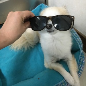 017