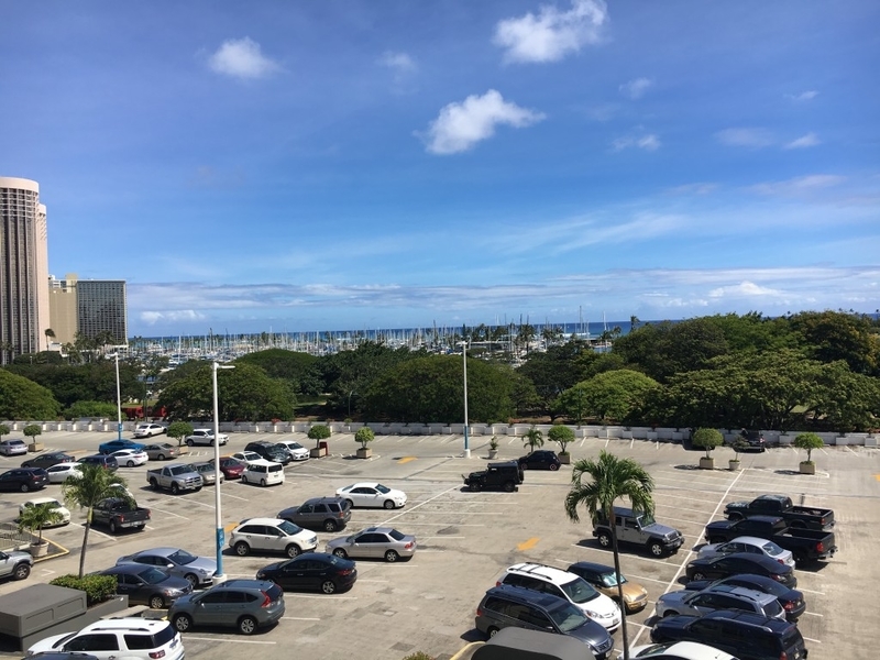 441
