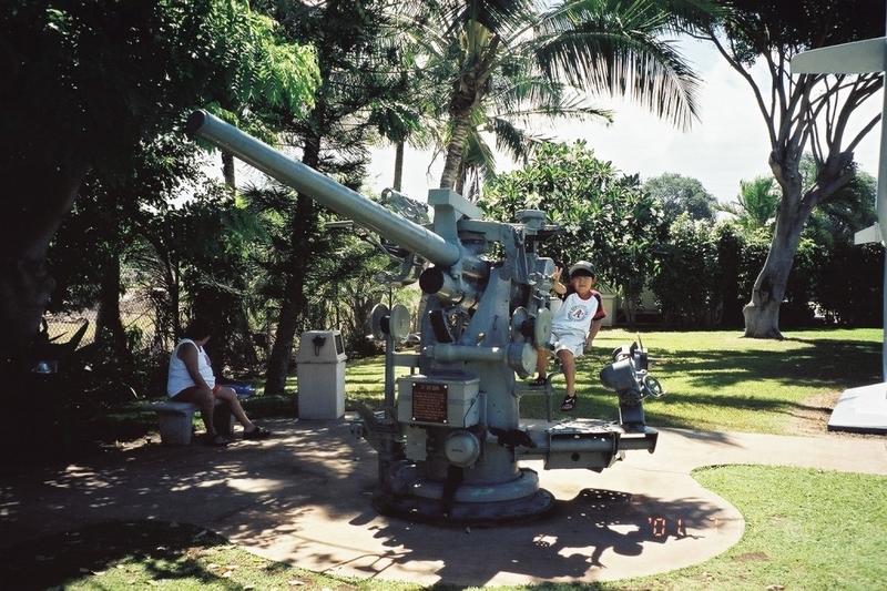 CNV000033