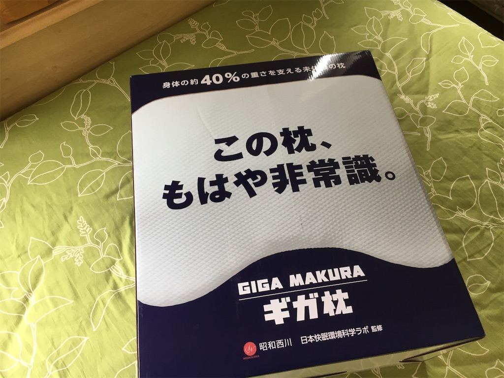 f:id:Toyoyo:20210505130533j:image