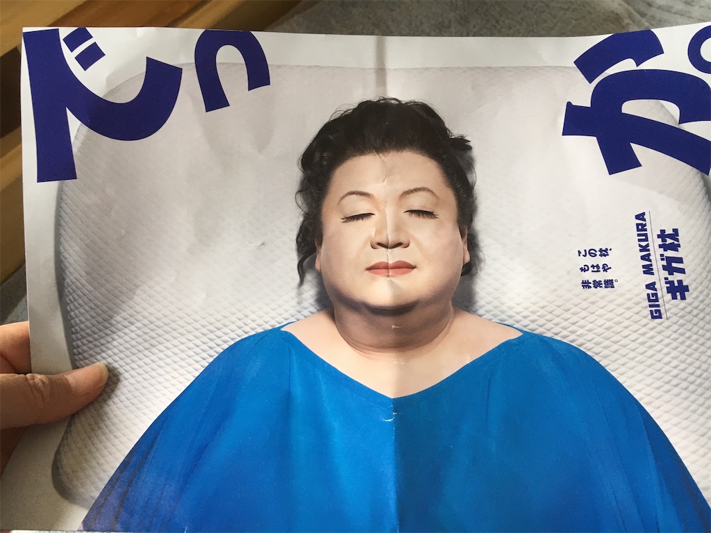 新品_送料込み@ギガ枕EX 西川 マツコ 新品_送料込み@ギガ枕EX 西川 マツコ 西川枕