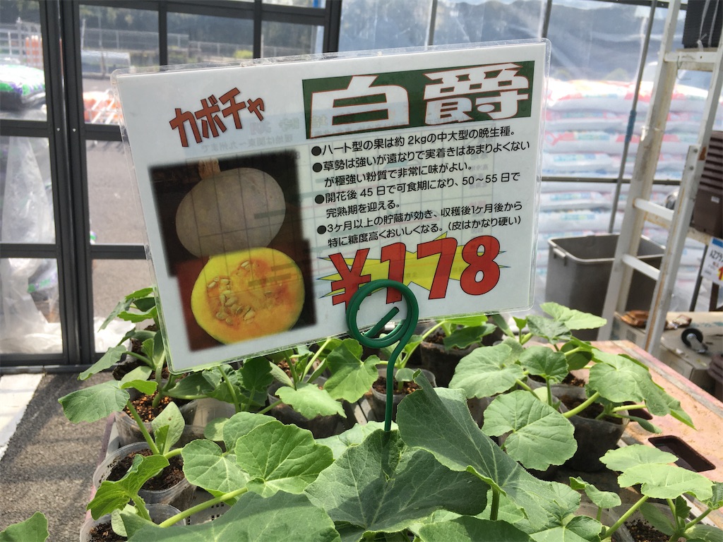 f:id:Toyoyo:20210511125928j:image