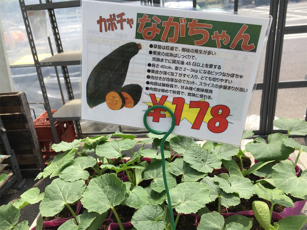 f:id:Toyoyo:20210511125933j:image