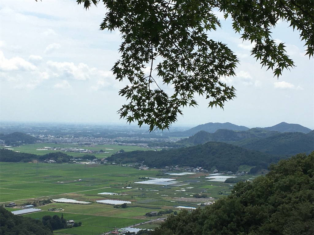 f:id:Toyoyo:20210806101112j:image