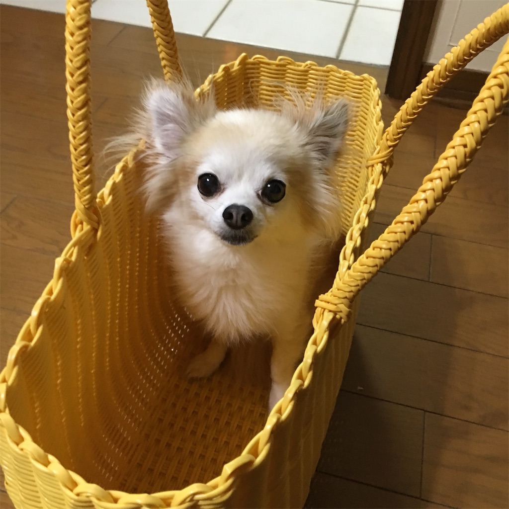 f:id:Toyoyo:20211120142140j:image