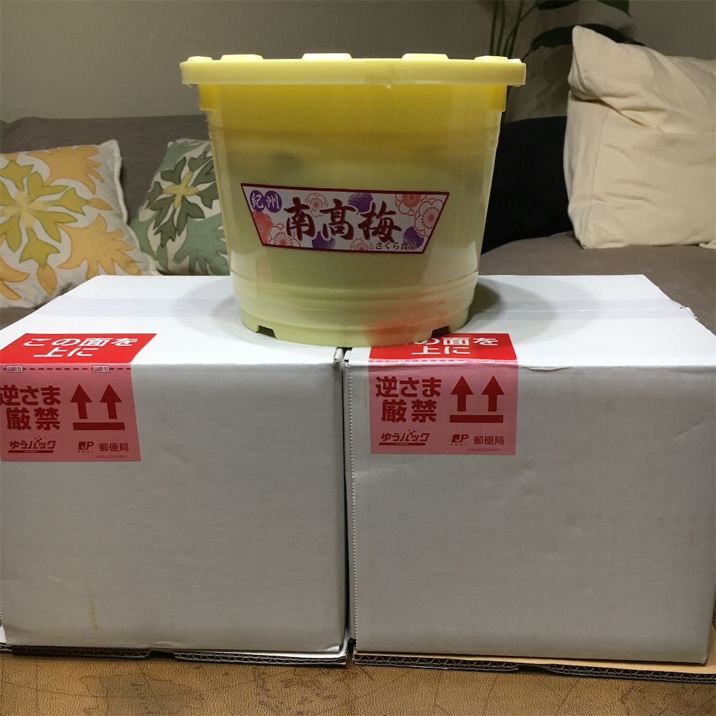 f:id:Toyoyo:20211210195528j:image