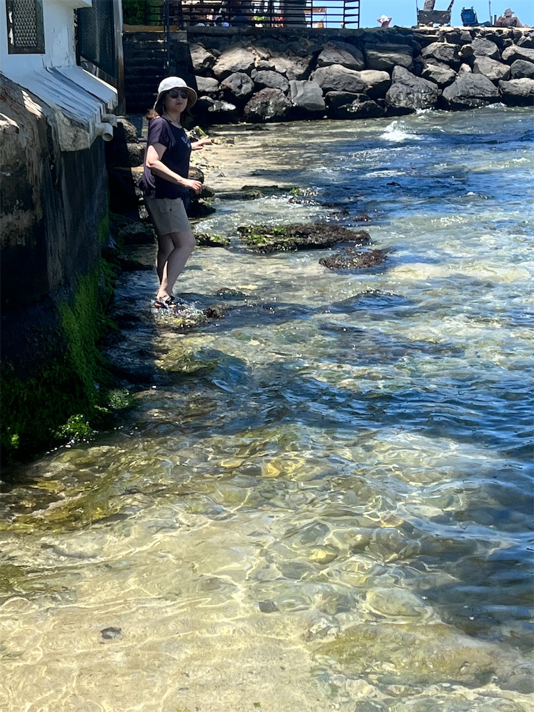 f:id:Toyoyo:20220726091657j:image
