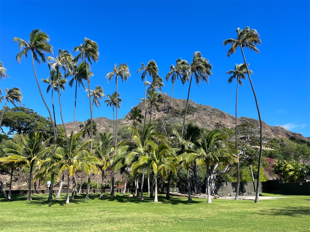 f:id:Toyoyo:20230107114023j:image f:id:Toyoyo:20230107114023j:image