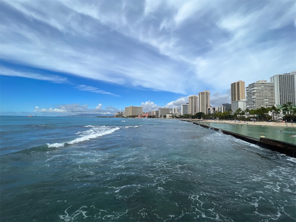 f:id:Toyoyo:20230111225007j:image f:id:Toyoyo:20230111225007j:image