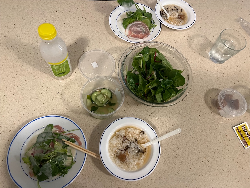 f:id:Toyoyo:20230112133737j:image