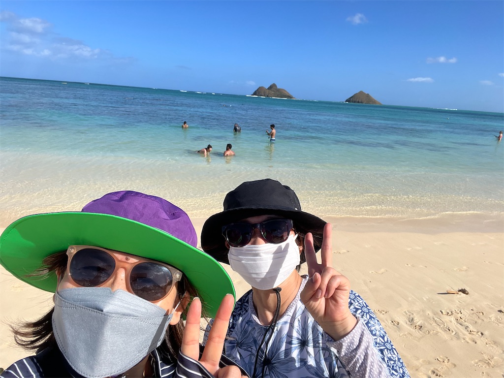 f:id:Toyoyo:20230119131500j:image f:id:Toyoyo:20230119131500j:image