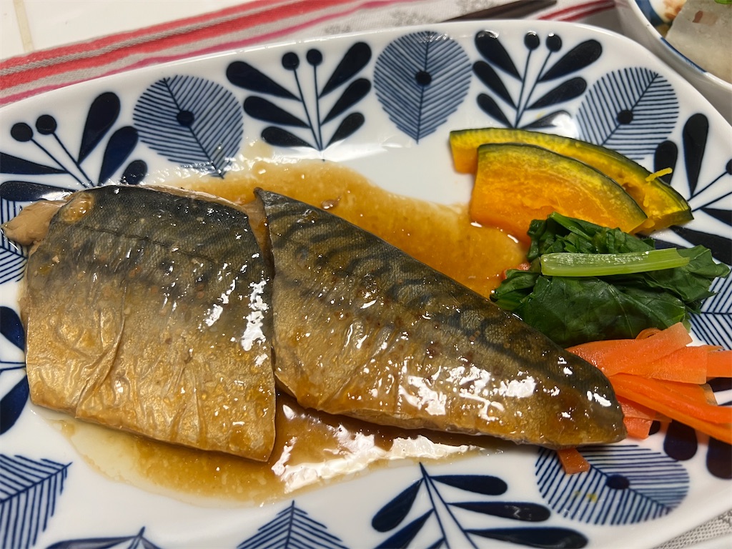 f:id:Toyoyo:20231017184615j:image