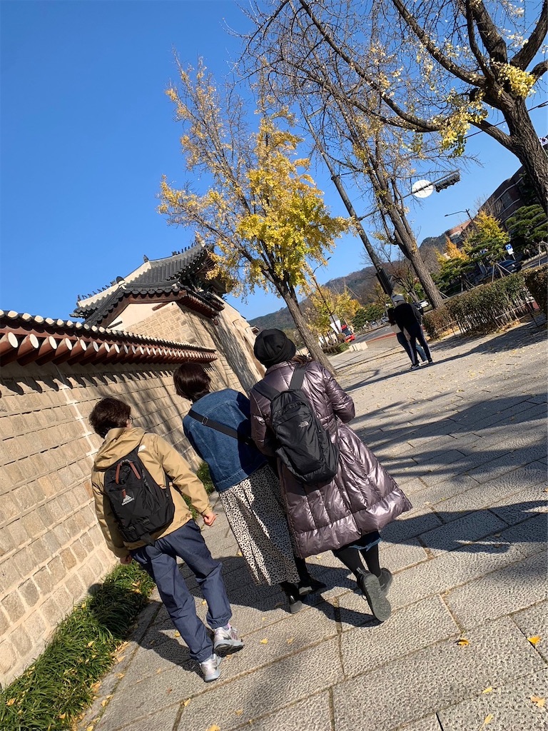 f:id:Toyoyo:20231128154102j:image