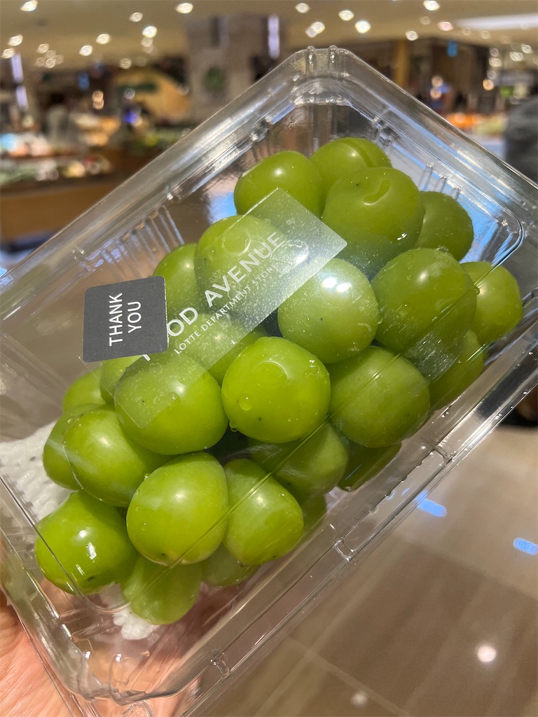 f:id:Toyoyo:20231201093024j:image f:id:Toyoyo:20231201093024j:image