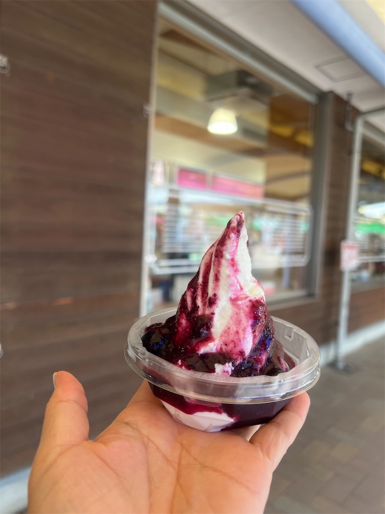 f:id:Toyoyo:20240718110500j:image f:id:Toyoyo:20240718110500j:image