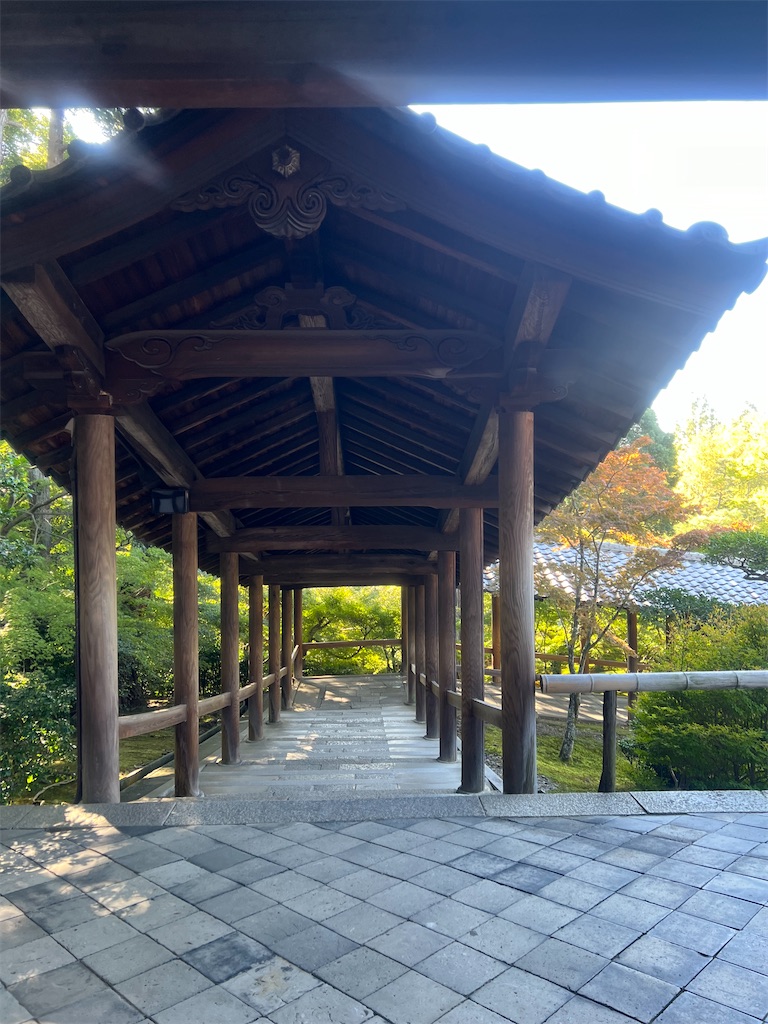 f:id:Toyoyo:20241106105828j:image