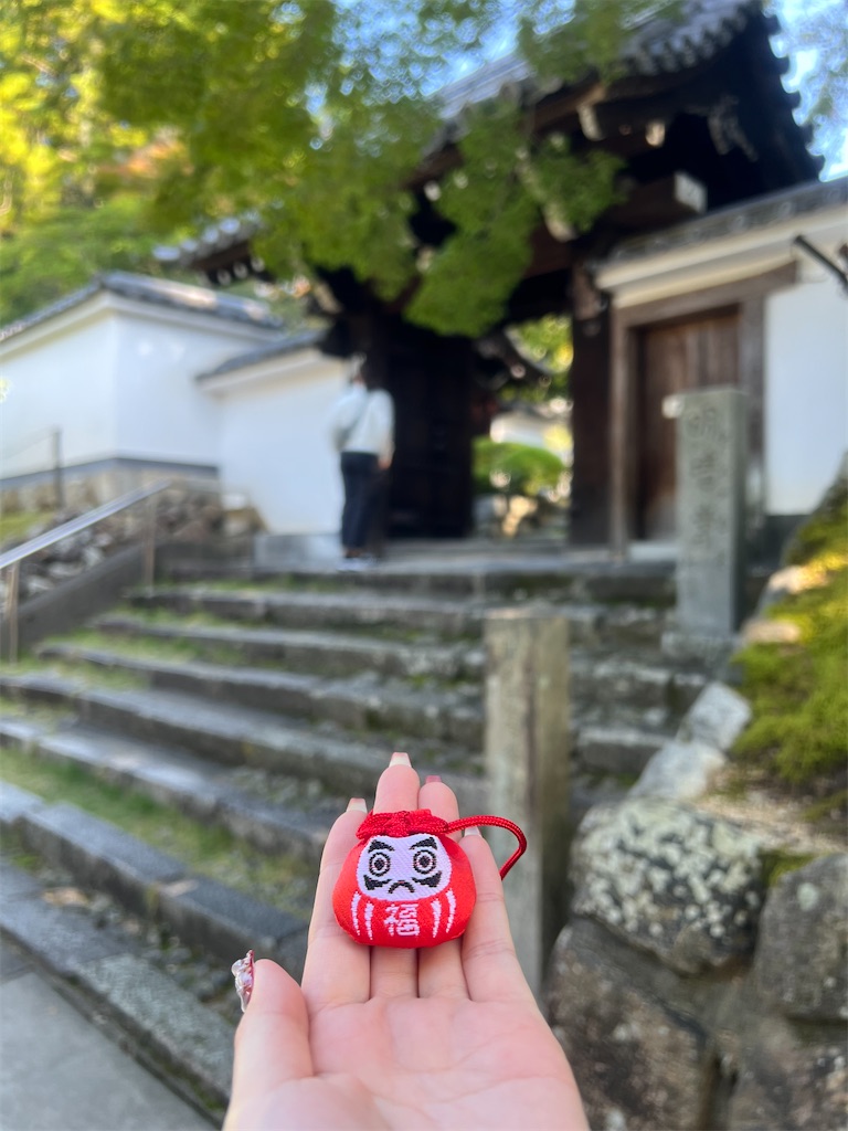 f:id:Toyoyo:20241106105934j:image
