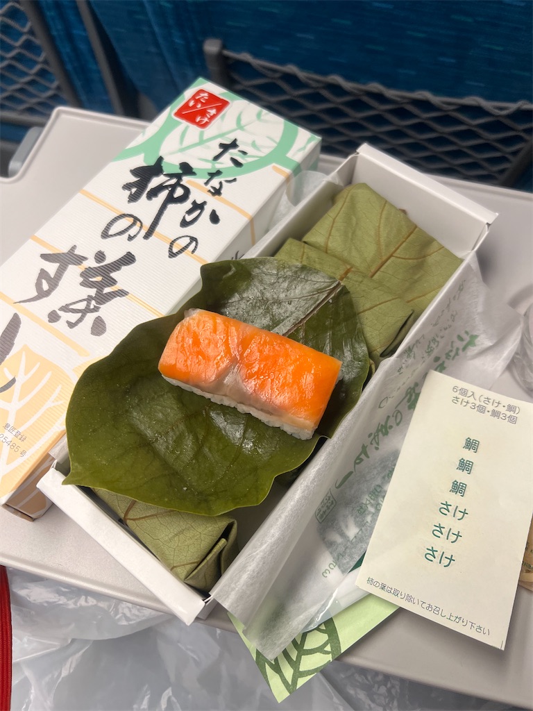 f:id:Toyoyo:20241126104348j:image