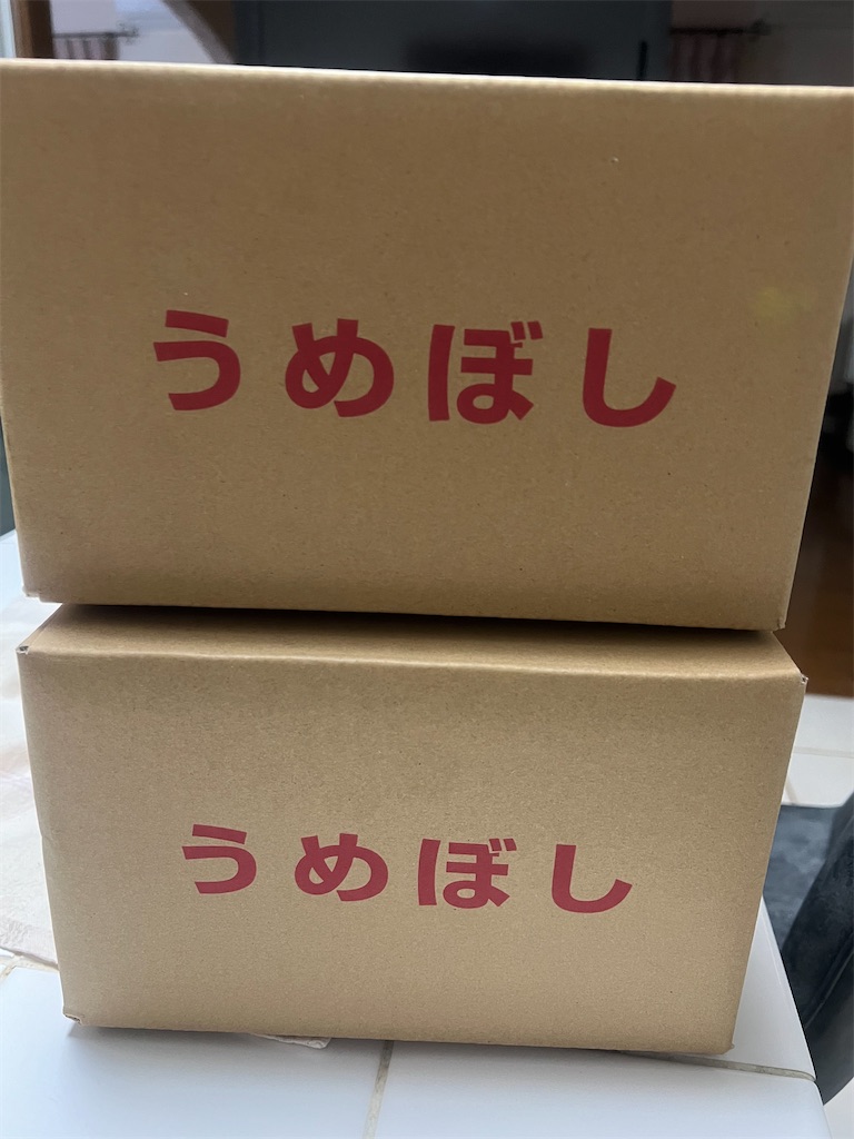 f:id:Toyoyo:20241223141509j:image