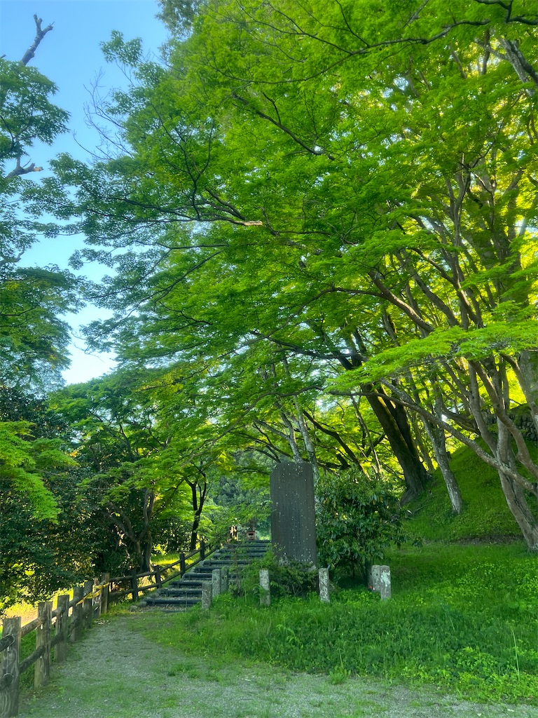 f:id:Toyoyo:20260521120619j:image