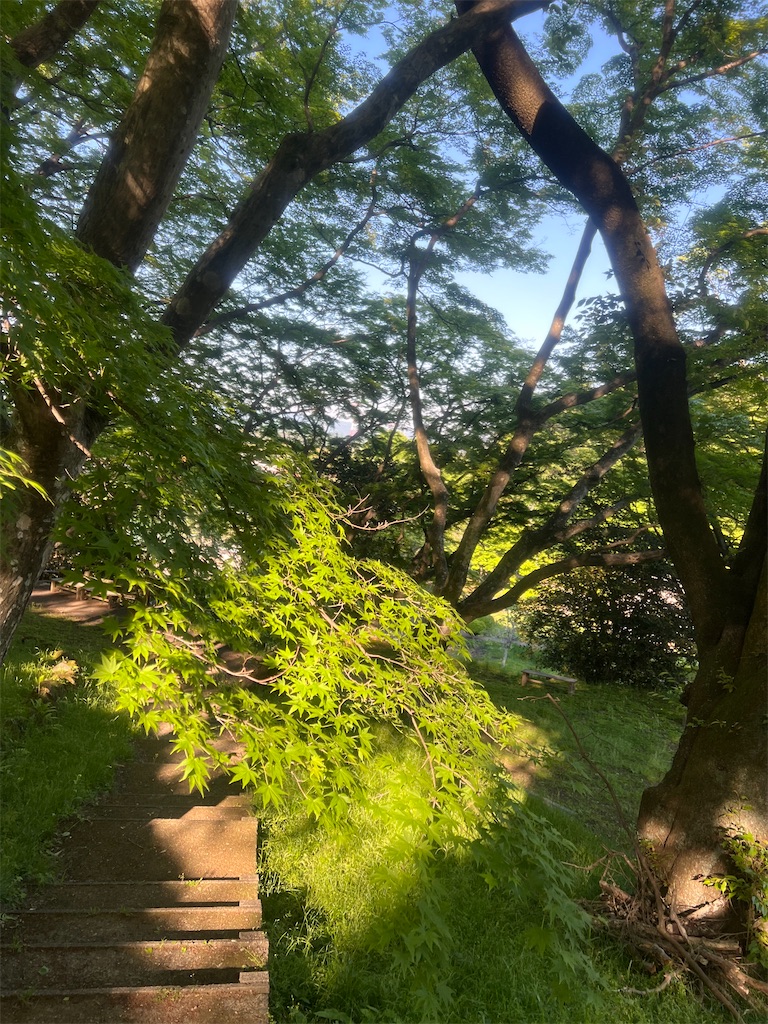 f:id:Toyoyo:20260521120818j:image
