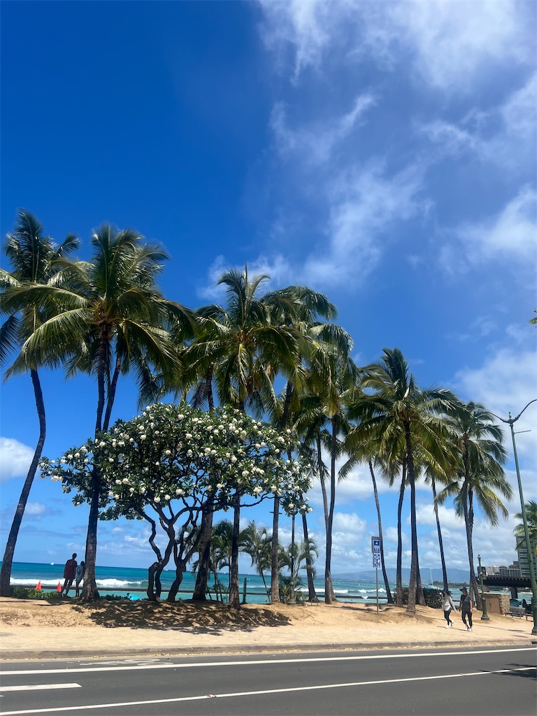f:id:Toyoyo:20260609132044j:image